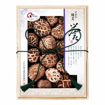�啪���ő��_�Ƌ����g�� �啪���Y�ő� �ԓ~��(�ǂ�) �_ (�_-50)
